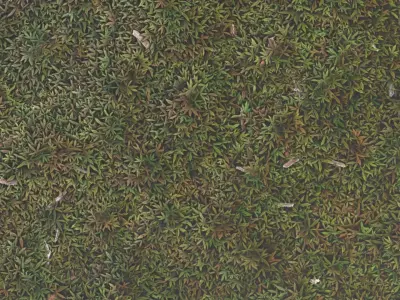 bumpy plant field 4K Texture