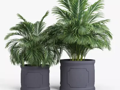 Birmingham Planter Palm 3D model