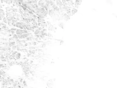 Sweden Occlusion Thickness Cavity Curvature Direct 10k Maps Texture