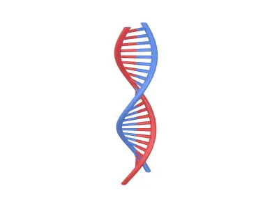 DNA Molecule v1 001 Low-poly 3D model