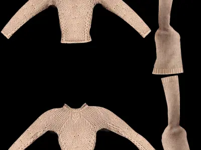 GOAM Winter Sweater Low-poly 3D model