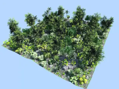 deep jungle scene Low-poly 3D model