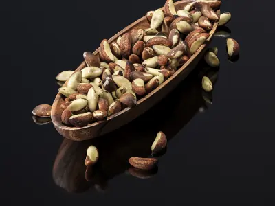 Brazil nuts in a wooden nut bowl Low-poly 3D model