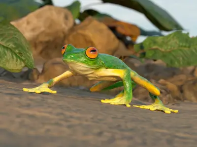  Great Blue Heron Eats Frog Rigged For Blender 