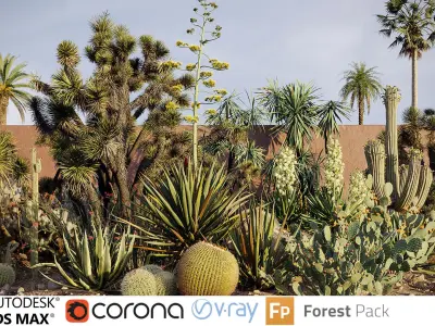  Tropical desert plant collection 