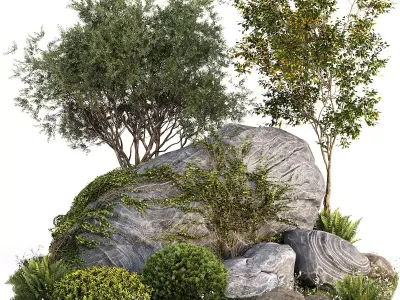Rocks  Plants Combination 3D model