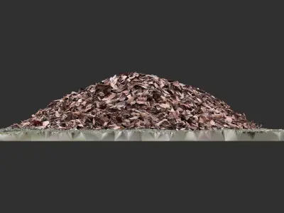 Leaves on the ground 3d scan 3D model