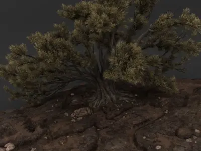 Mountain with Tree 3D model