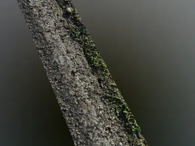 Roadedgecampscan01 3D model