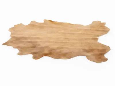 Beige Cow Hide Rug 3D model