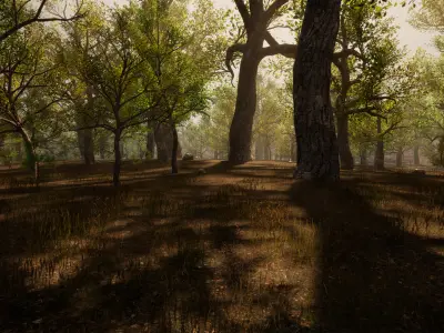Procedural Forest for Open - Worlds