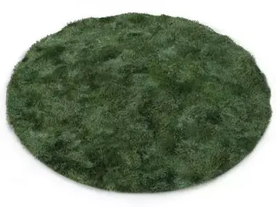 Round Carpet 3D model