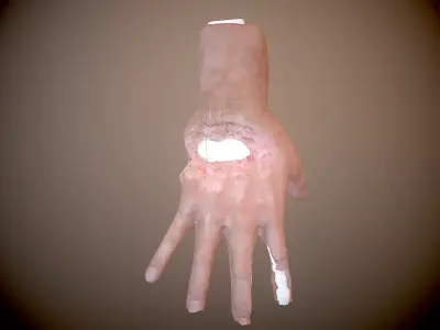 Robotic human hand cyborg rigged Low-poly 3D model