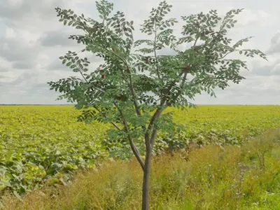 Round Bench with Citytree Version 2 Low-poly 3D model