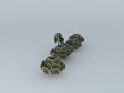 Trees on my street Free 3D model