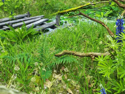 Small Pond -  Full Model Sketchup - V-ray Render 3D model