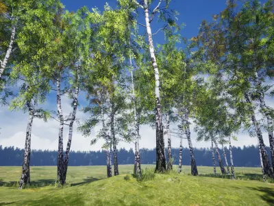 Birch-Tree Grove - low poly Low-poly 3D model