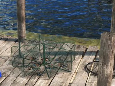 Collapsible Fishing Net Cage with Crawfish Inside 