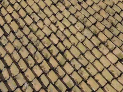 Moss Spotted Clay Pan Roof  Texture