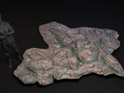 Beech forest ground - 1 of 6 - scan PBR Game ready Low-poly 3D model