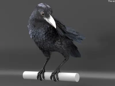  Raven Animated Takeoff Rigged 