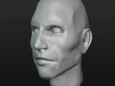 Male Head Sculpt Highpoly 3D model