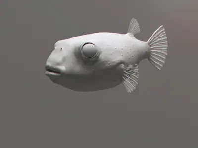  Puffer Fish 