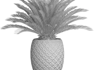 Decorative Evergreen Cycas Palm Tree modern outdoor flowerpot  3D model