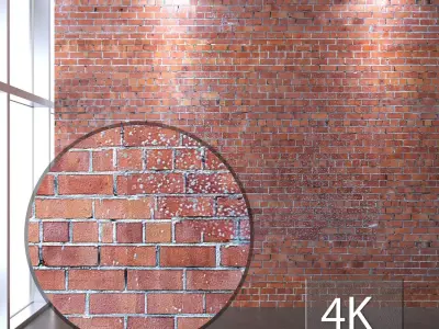 Brickwork 302 Texture