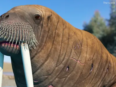  Walrus Rigged For Blender 
