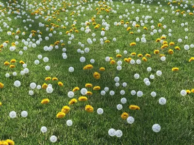 dandelion field 3D model