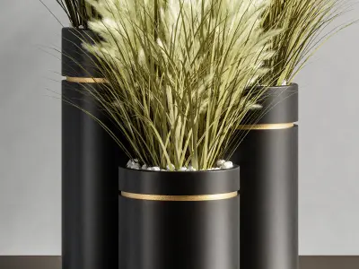 Indoor Plant Set 79 3D model