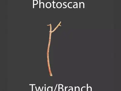 Free PBR Stick twig dead broken Scan Free low-poly 3D model