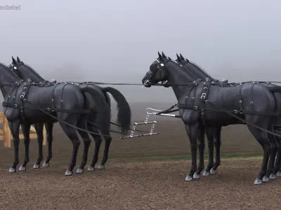  Four Black Horses in Breast Collar Harness 