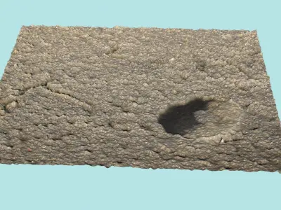 Burrows In The Sand 3D model