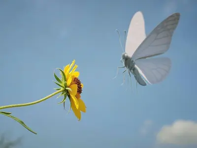  Monarch Butterfly Rigged Xgen 