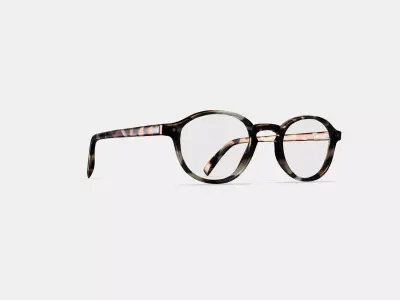 Caswell Eyeglasses in Biscotti Tortoise 3D model