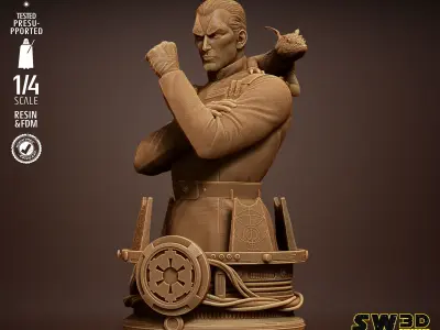 STAR WARS Admiral Thrawn Bust Tested for 3D printing 3D print model