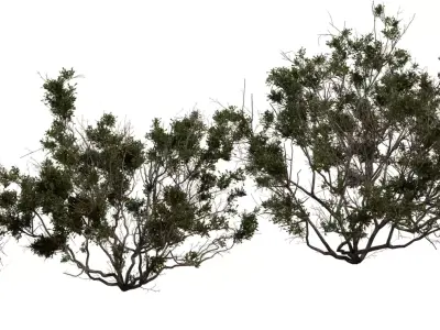 Photorealistic Bush   Shrub 3D Model Pack Low-poly 3D model