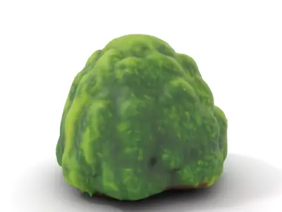 Lush Green Moss model pack Texture