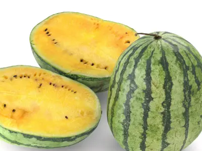 Yellow Watermelon - Photorealistic Scan Low-poly 3D model