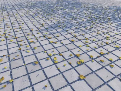 Leaves from Pavements vol01 8K Seamless PBR Materials Texture