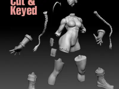 Cammy White Street Fighter 3D print model