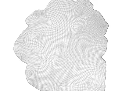 Apricot Caliedo Rug 3D model