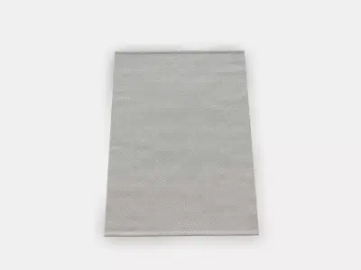 MORUM flat woven carpet indoorrough 1 3D model