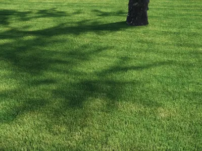 3 click grass for archviz 3D model