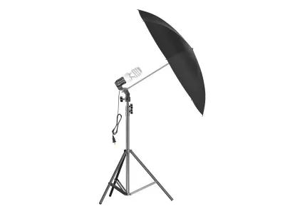 Umbrella Lighting Single Light Bulb 3D model