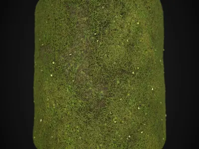 PBR Grass Ground made in substance designer Texture