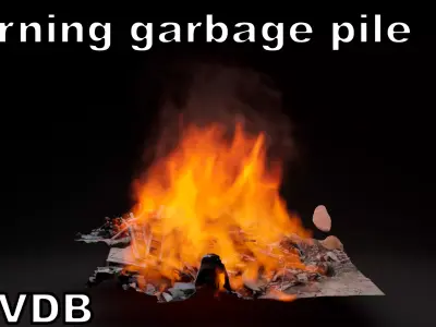 Burning garbage pile vdb 3D model