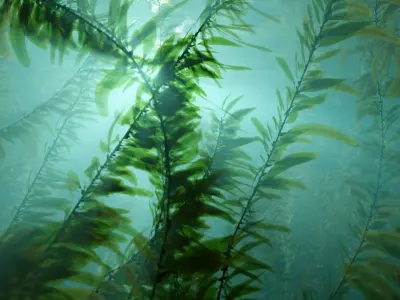 Procedural Kelp Forest Environment 3D model